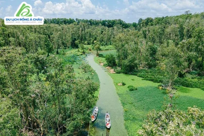 TOUR RỪNG TRÀM TRÀ SƯ - CẦN THƠ - CHECK IN PHIM TRƯỜNG ĐẤT RỪNG PHƯƠNG NAM 2 NGÀY 2 ĐÊM