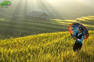 Kinh nghiệm khám phá hết Sapa chỉ trong 3 ngày