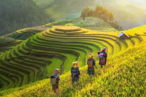 TOP NHỮNG ĐỊA ĐIỂM DU LỊCH Ở VIỆT NAM KHÔNG NÊN BỎ LỠ VÀO HÈ NÀY