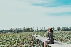 Mùa thu lạ chẳng có lá vàng chỉ tràn đầy sức sống nơi miền Tây nước nổi