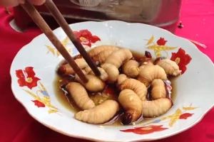 10 món ăn Việt Nam khiến khách Tây sợ hãi